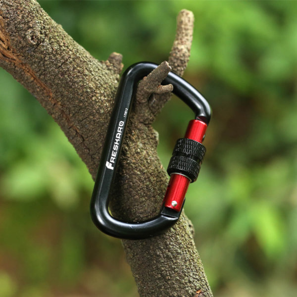 12kN Screw Locking Carabiner on a twig