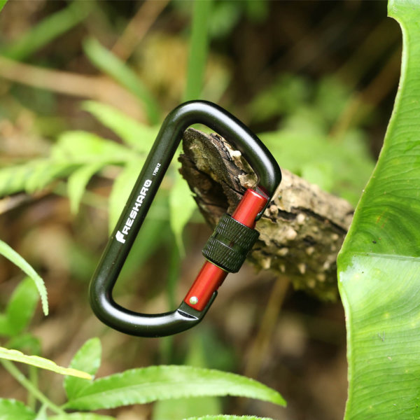 12kN Screw Locking Carabiner on a Branch