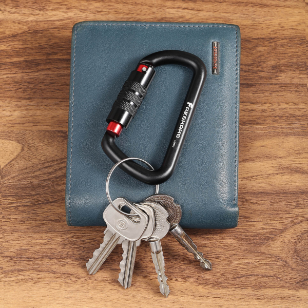 12Kn Autolocking carabiner for keys