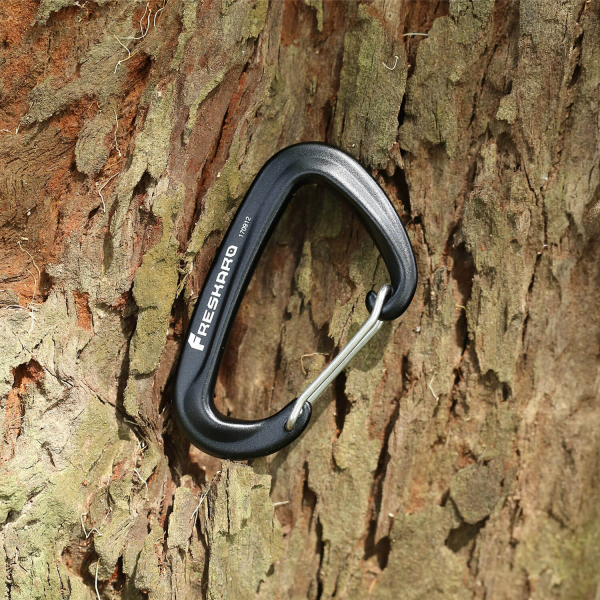 12kN Wiregate Carabiner