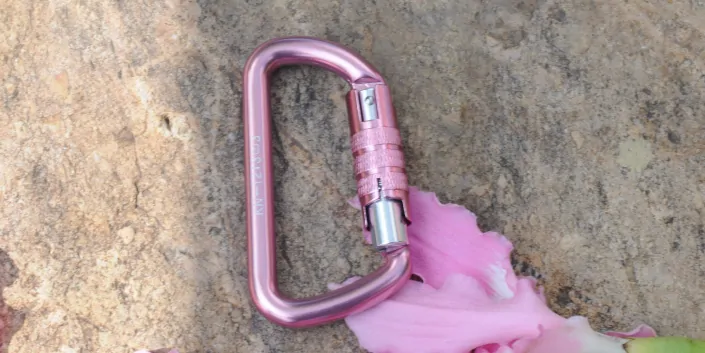 12kN Auto Locking Pink Crabiner