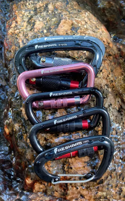 Group of Freskaro Carabiners