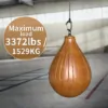 15kn carabiner for heavy duty uses